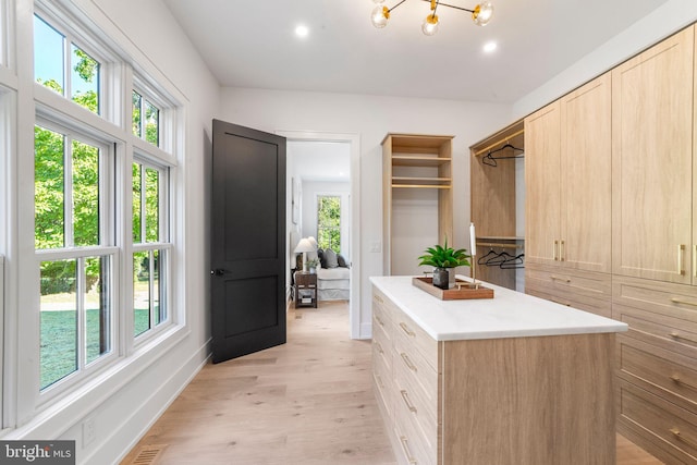 walk in closet featuring light hardwood / wood-style floors