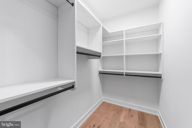 walk in closet with light hardwood / wood-style flooring