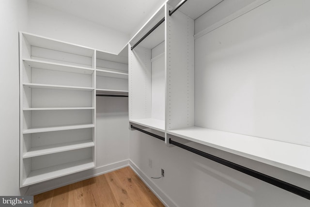 spacious closet featuring light hardwood / wood-style flooring