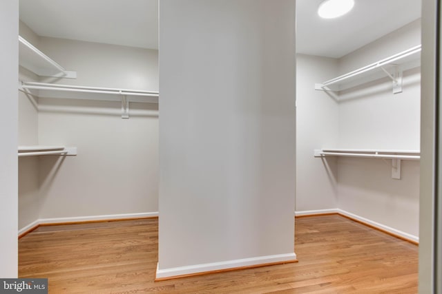 walk in closet featuring wood finished floors