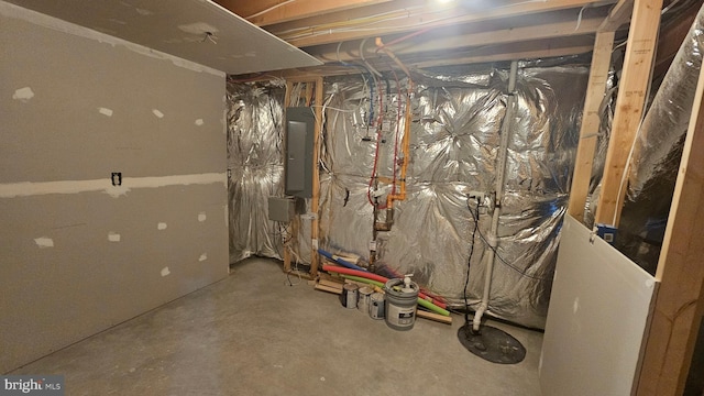 basement featuring electric panel