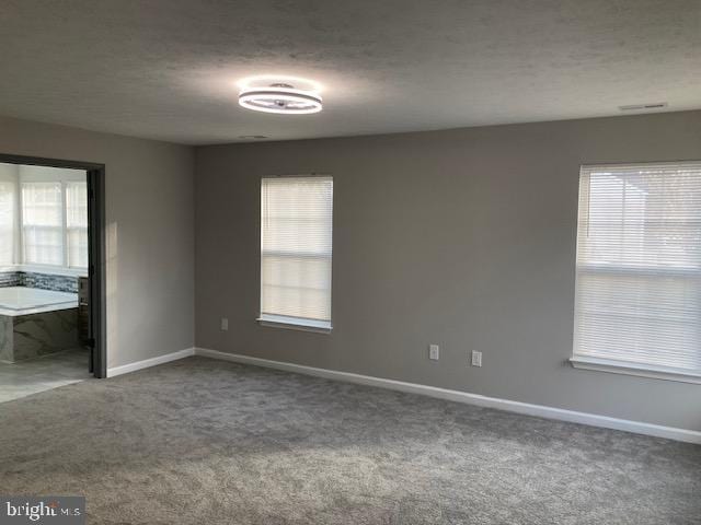 unfurnished bedroom featuring multiple windows, a textured ceiling, and carpet flooring