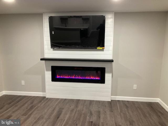 room details featuring a large fireplace, baseboards, and wood finished floors