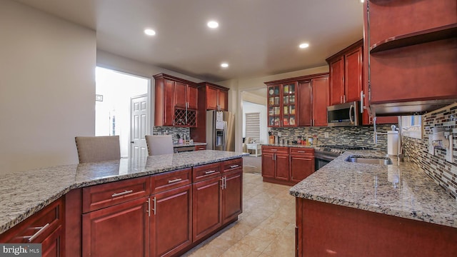 kitchen featuring stainless steel appliances, light stone countertops, sink, and backsplash