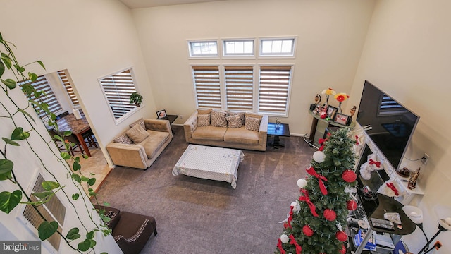 living room with a towering ceiling and carpet flooring