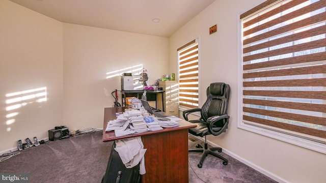 home office featuring carpet flooring