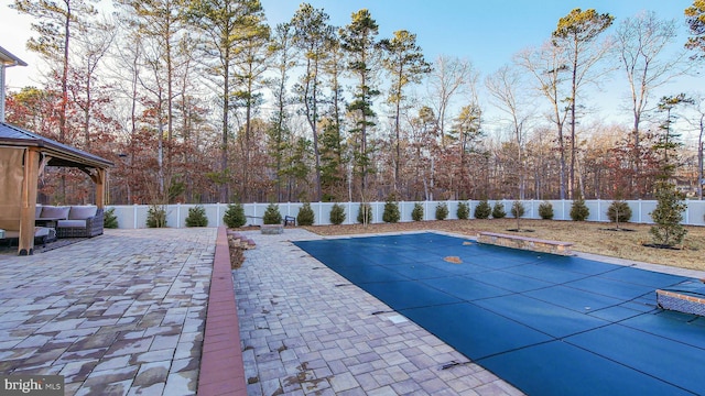 view of swimming pool with a patio