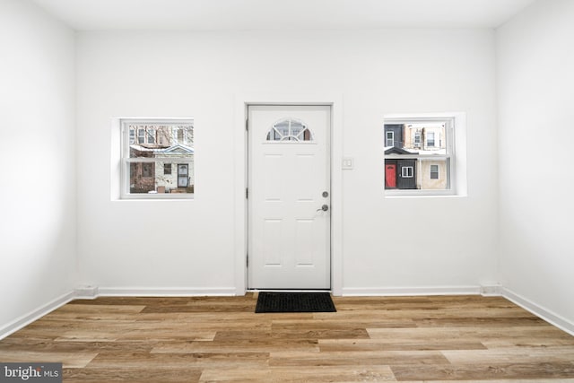 entrance foyer featuring wood-type flooring