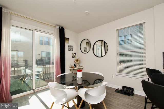 dining room featuring hardwood / wood-style flooring and plenty of natural light