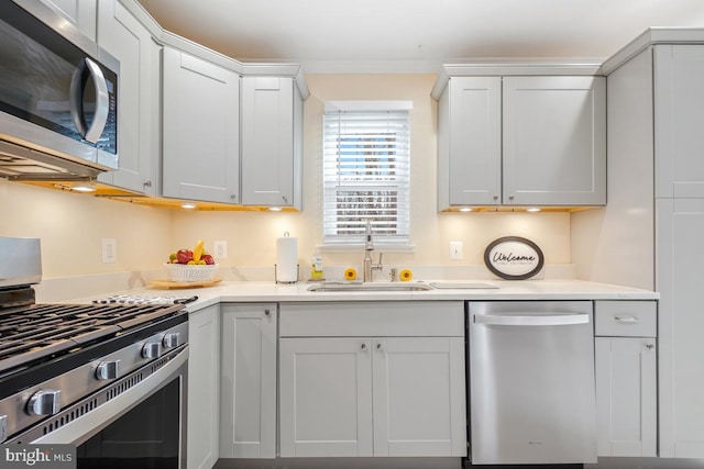 kitchen with a sink, white cabinetry, stainless steel appliances, and light countertops