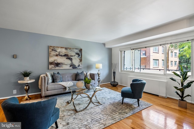 living room with light hardwood / wood-style flooring