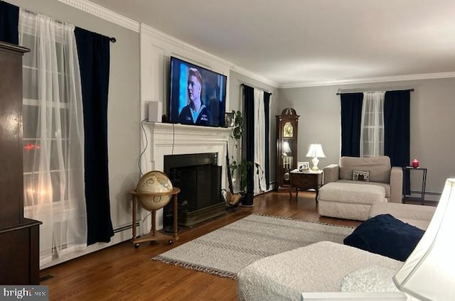 living room featuring crown molding and dark wood-type flooring