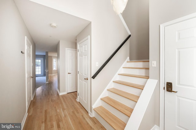 staircase featuring wood-type flooring