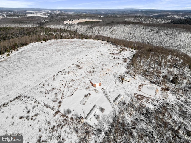 view of snowy aerial view