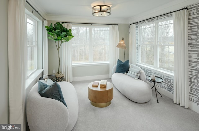 sitting room with ornamental molding and carpet