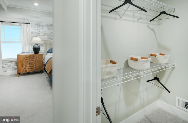 view of walk in closet