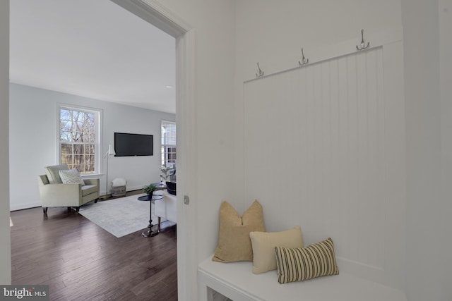 mudroom featuring dark wood finished floors