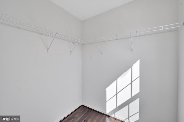 walk in closet with dark wood-style flooring