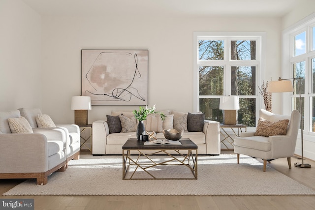 living room featuring wood finished floors