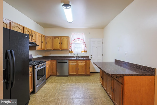 kitchen featuring sink, ventilation hood, and stainless steel appliances