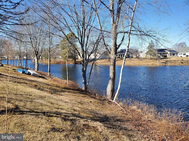 view of water feature