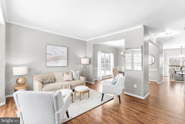 living room featuring an inviting chandelier, ornamental molding, a healthy amount of sunlight, and hardwood / wood-style floors