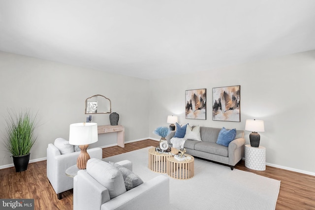 living room featuring wood-type flooring