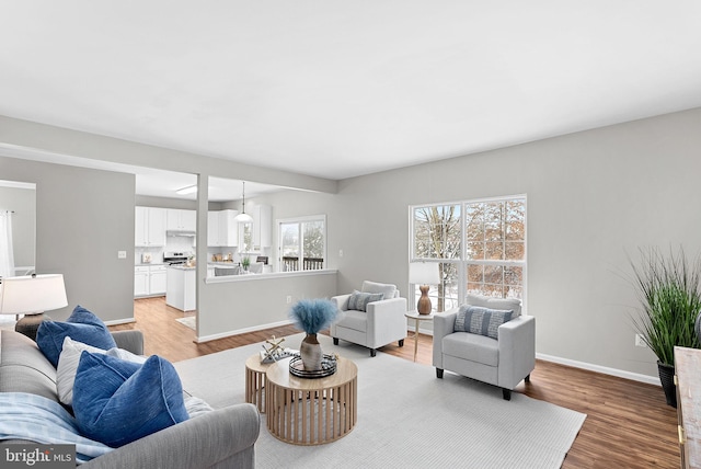 living room featuring light hardwood / wood-style floors