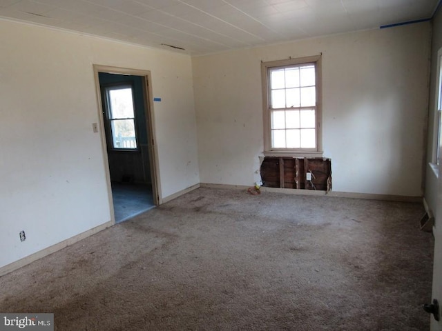 spare room featuring carpet floors