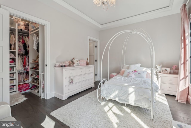 bedroom featuring dark wood-type flooring, an inviting chandelier, a spacious closet, a tray ceiling, and a closet