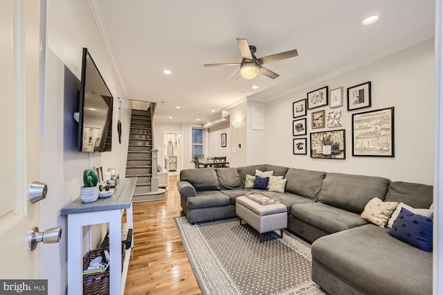 living room with ornamental molding, ceiling fan, and light wood-type flooring