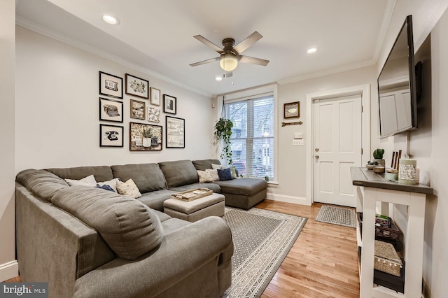 living room featuring crown molding, ceiling fan, and light hardwood / wood-style floors