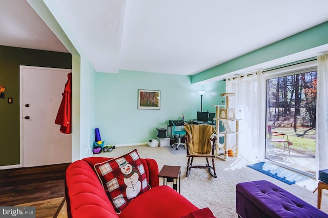 living room with baseboards