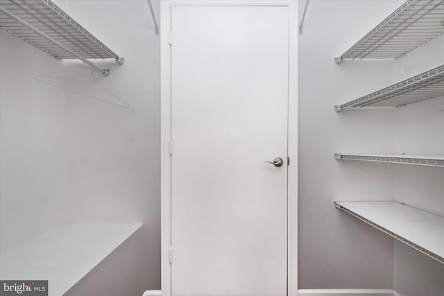 view of spacious closet