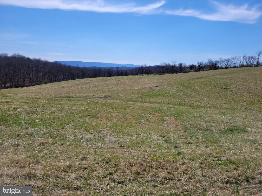 Red Oak Rd, Cross Junction, VA 22625 - mountain view with rural landscape