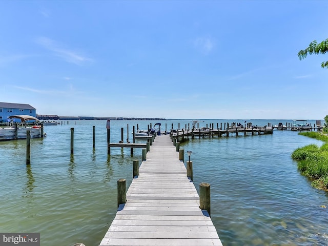 dock area with a water view