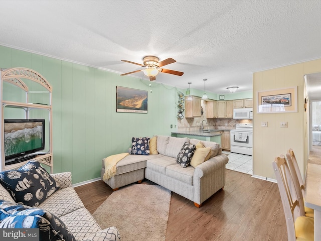 living room featuring ceiling fan, sink, a textured ceiling, and light wood-type flooring