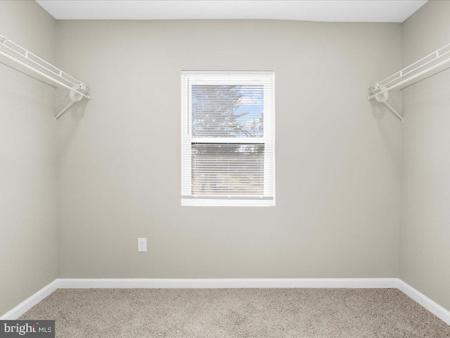 walk in closet featuring carpet flooring