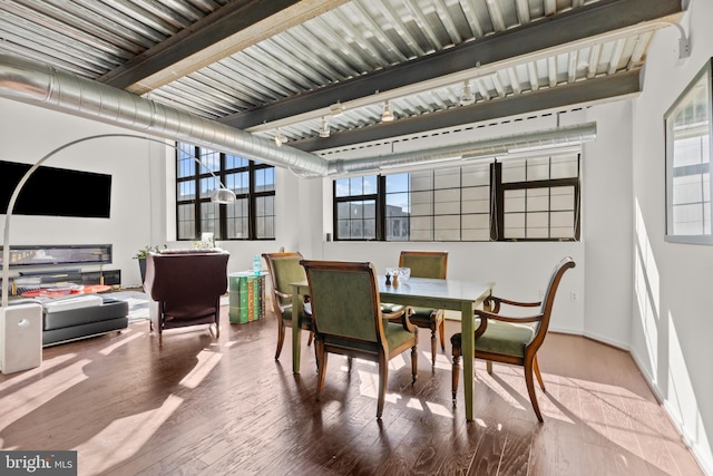 dining area featuring plenty of natural light and hardwood / wood-style floors