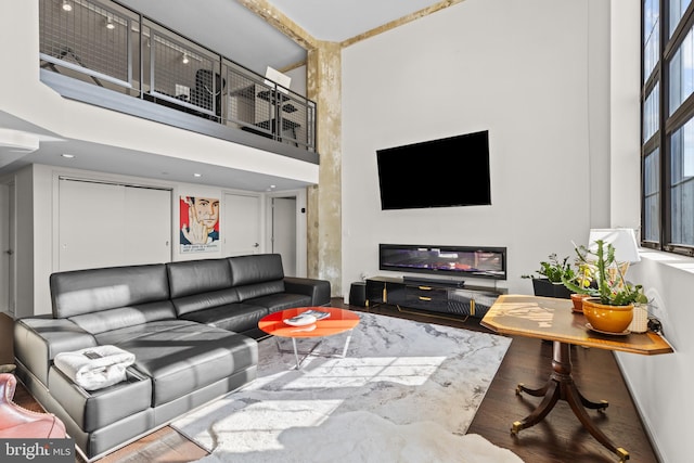 living room featuring hardwood / wood-style flooring and a high ceiling