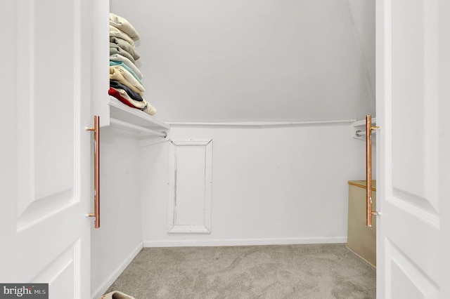 spacious closet with light colored carpet