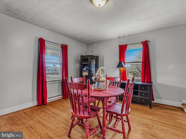 dining room with a baseboard radiator, a wealth of natural light, and light wood-type flooring