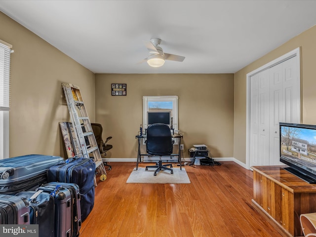 office area featuring ceiling fan and hardwood / wood-style floors