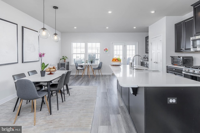 dining space with sink and light hardwood / wood-style flooring