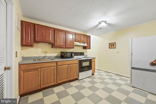 11919 Berrybrook Ter, Upper Marlboro, MD 20772 - kitchen with white appliances, under cabinet range hood, light floors, a sink, and light countertops