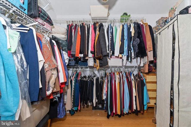 spacious closet with wood-type flooring