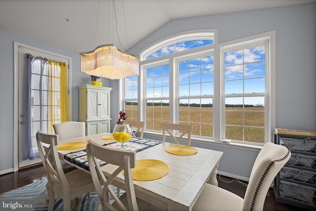 dining space with vaulted ceiling, a healthy amount of sunlight, and dark hardwood / wood-style floors