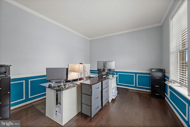 office space with ornamental molding and dark hardwood / wood-style floors