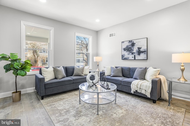 living room featuring hardwood / wood-style flooring and plenty of natural light