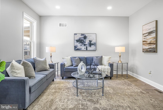 living room with wood-type flooring